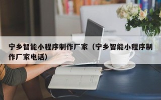 海南宁乡智能小程序制作厂家（宁乡智能小程序制作厂家电话）