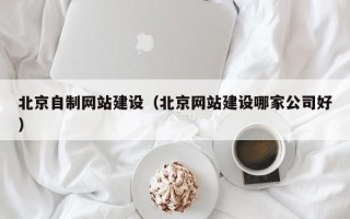 海南北京自制网站建设（北京网站建设哪家公司好）