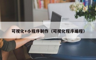 海南可视化+小程序制作（可视化程序编程）